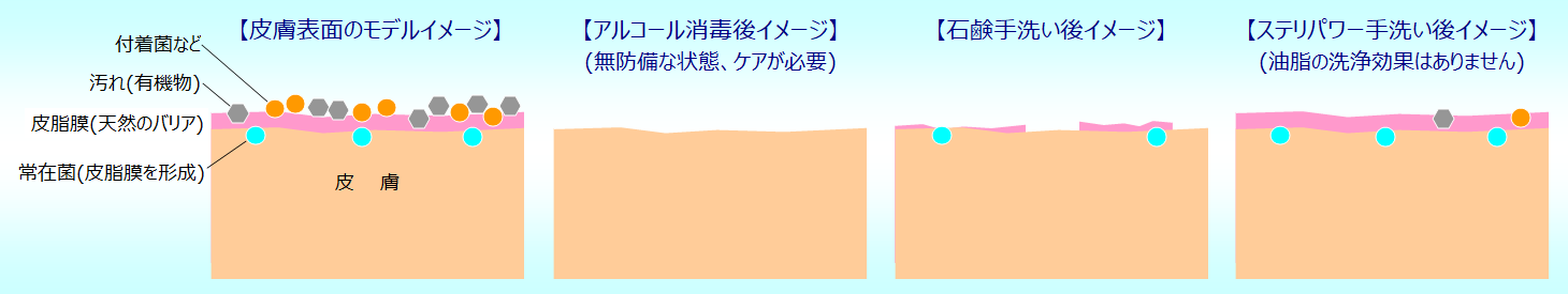 ステリパワーコロナ効果